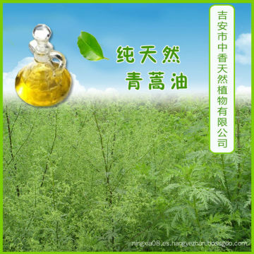 Aceite esencial de ginseng puro natural a base de hierbas chino